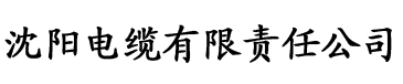 草莓色污视频电缆厂logo